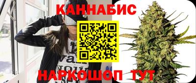 гидра Краснознаменск