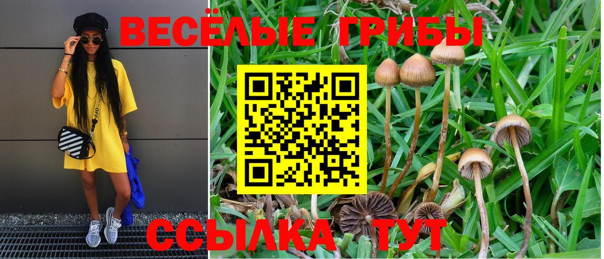 Галлюциногенные грибы мухоморы Ивантеевка
